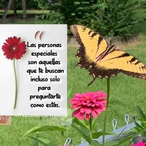 Meet your Posher, Reyna